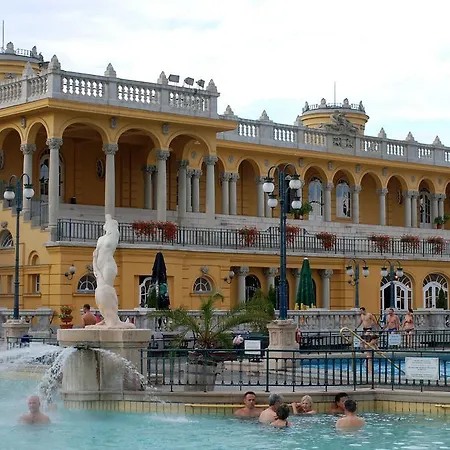 Little Americas Ring